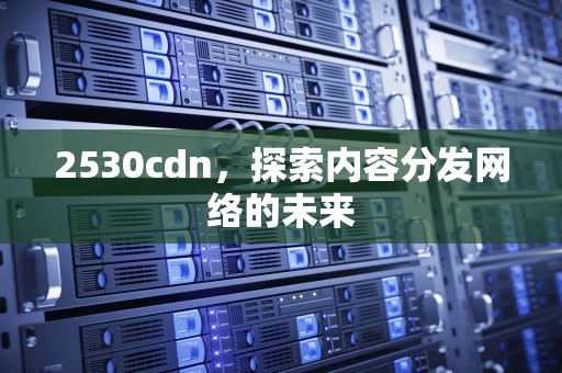 2530cdn，探索内容分发网络的未来