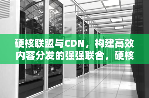 硬核联盟与CDN，构建高效内容分发的强强联合，硬核联盟是谁主导的