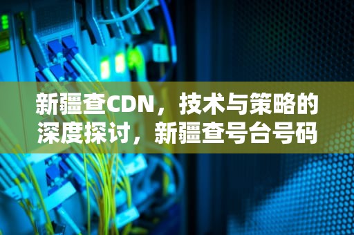 新疆查CDN，技术与策略的深度探讨，新疆查号台号码