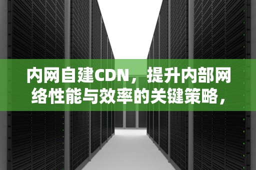 内网自建CDN，提升内部网络性能与效率的关键策略，内网自建dns