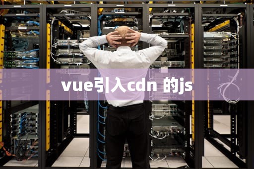 vue引入cdn 的js