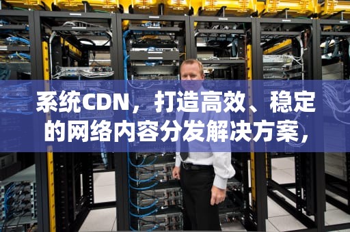 系统CDN，打造高效、稳定的网络内容分发解决方案，系统cdn