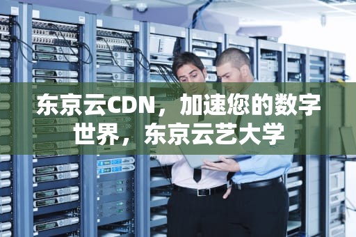 东京云CDN，加速您的数字世界，东京云艺大学