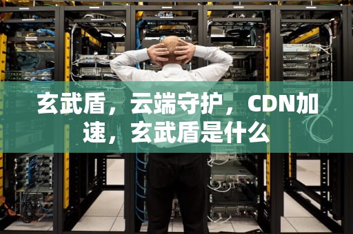 玄武盾，云端守护，CDN加速，玄武盾是什么