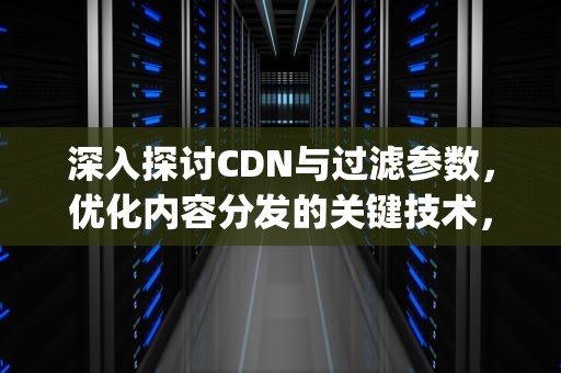 深入探讨CDN与过滤参数，优化内容分发的关键技术，xhy_dns过滤器
