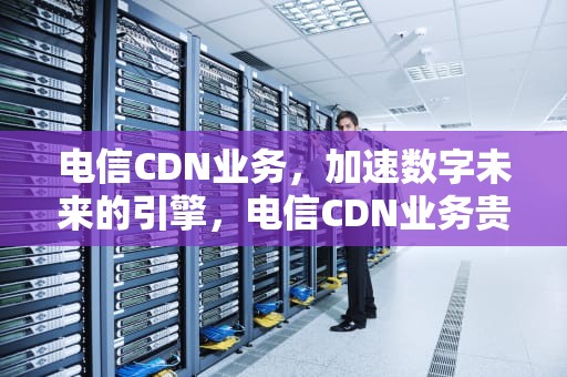 电信CDN业务，加速数字未来的引擎，电信CDN业务贵吗