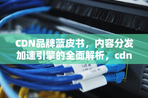 CDN品牌蓝皮书，内容分发加速引擎的全面解析，cdn是什么品牌