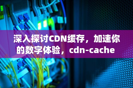 深入探讨CDN缓存，加速你的数字体验，cdn-cache diyidichan co
