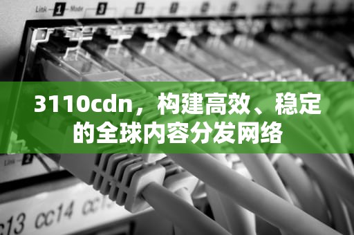 3110cdn，构建高效、稳定的全球内容分发网络