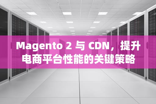 Magento 2 与 CDN，提升电商平台性能的关键策略