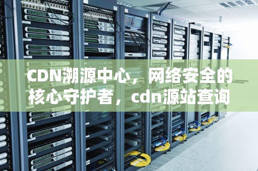 CDN溯源中心，网络安全的核心守护者，cdn源站查询工具