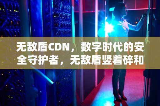 无敌盾CDN，数字时代的安全守护者，无敌盾竖着碎和横着碎的区别