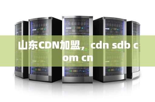 山东CDN加盟，cdn sdb com cn