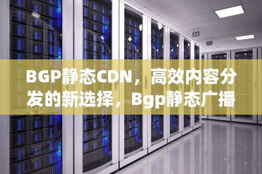BGP静态CDN，高效内容分发的新选择，Bgp静态广播