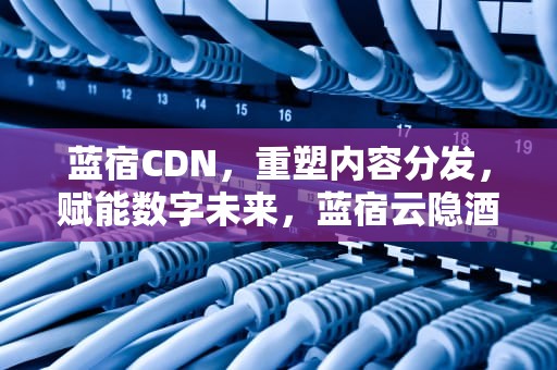 蓝宿CDN，重塑内容分发，赋能数字未来，蓝宿云隐酒店