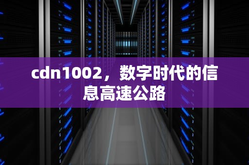 cdn1002，数字时代的信息高速公路