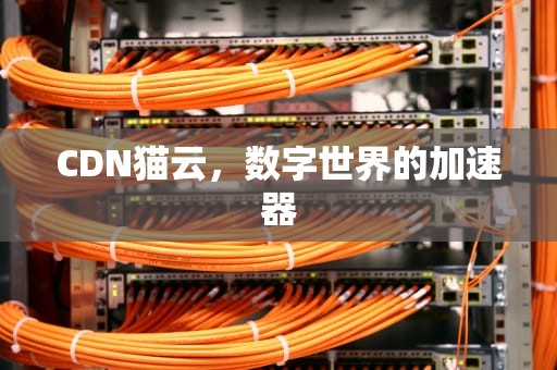 CDN猫云，数字世界的加速器