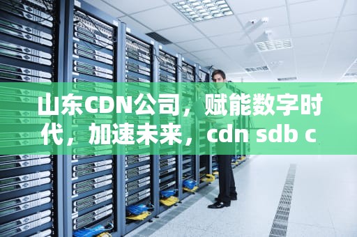 山东CDN公司，赋能数字时代，加速未来，cdn sdb com cn