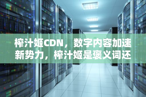 榨汁姬CDN，数字内容加速新势力，榨汁姬是褒义词还是贬义词
