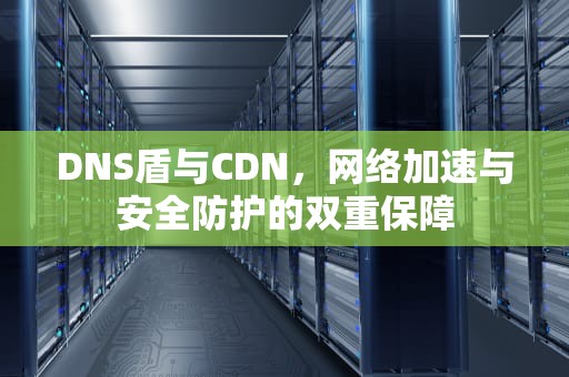 DNS盾与CDN，网络加速与安全防护的双重保障