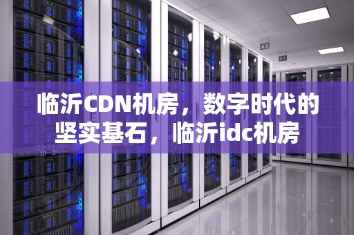 临沂CDN机房，数字时代的坚实基石，临沂idc机房