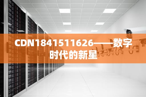 CDN1841511626——数字时代的新星