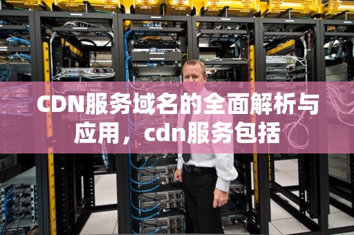 CDN服务域名的全面解析与应用，cdn服务包括
