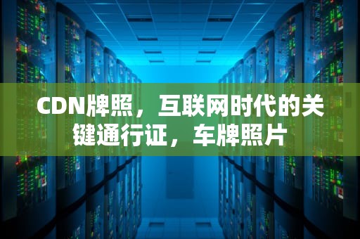 CDN牌照，互联网时代的关键通行证，车牌照片