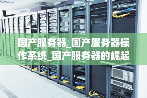 国产服务器_国产服务器操作系统_国产服务器的崛起与发展