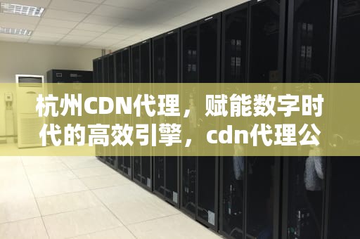 杭州CDN代理，赋能数字时代的高效引擎，cdn代理公司