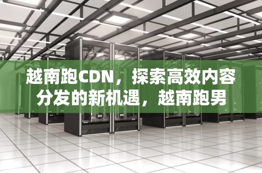 越南跑CDN，探索高效内容分发的新机遇，越南跑男