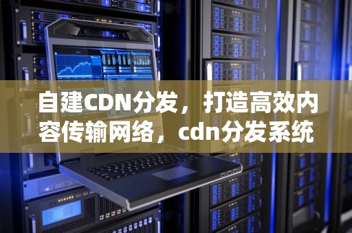 自建CDN分发，打造高效内容传输网络，cdn分发系统