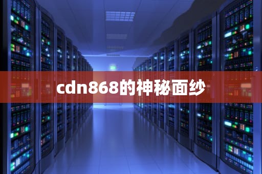 cdn868的神秘面纱