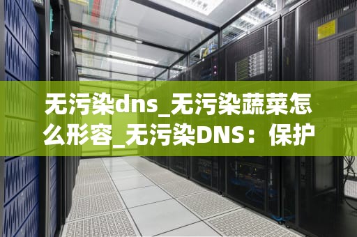 无污染dns_无污染蔬菜怎么形容_无污染DNS：保护网络安全的一道防线