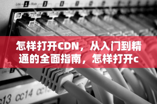 怎样打开CDN，从入门到精通的全面指南，怎样打开cdr格式的文件