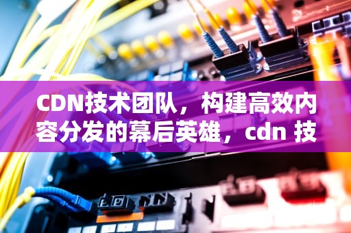 CDN技术团队，构建高效内容分发的幕后英雄，cdn 技术