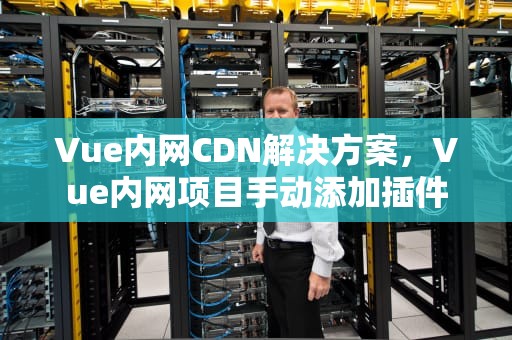 Vue内网CDN解决方案，Vue内网项目手动添加插件