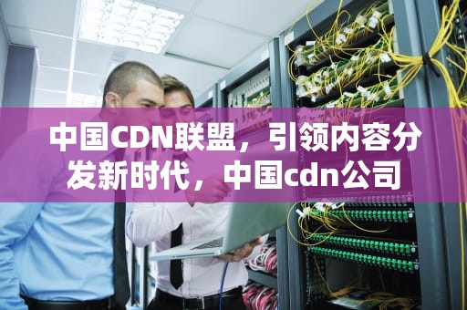 中国CDN联盟，引领内容分发新时代，中国cdn公司