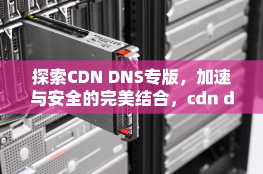 探索CDN DNS专版，加速与安全的完美结合，cdn dns 区别