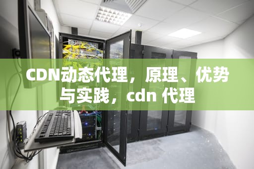 CDN动态代理，原理、优势与实践，cdn 代理