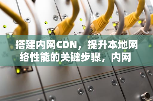 搭建内网CDN，提升本地网络性能的关键步骤，内网 cdn