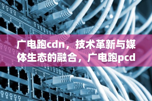广电跑cdn，技术革新与媒体生态的融合，广电跑pcdn