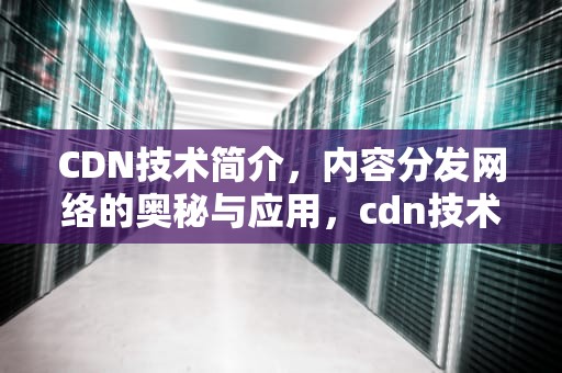 CDN技术简介，内容分发网络的奥秘与应用，cdn技术介绍