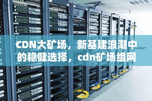 CDN大矿场，新基建浪潮中的稳健选择，cdn矿场组网