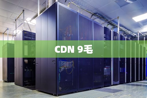 CDN 9毛