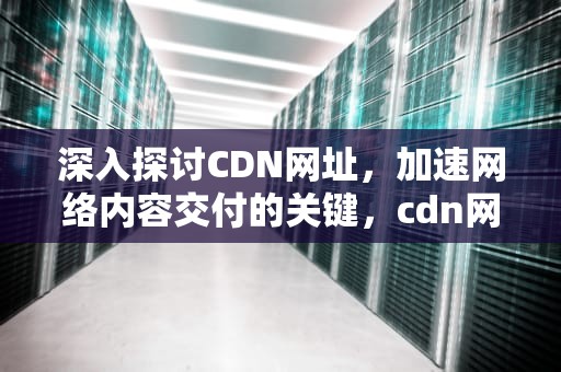深入探讨CDN网址，加速网络内容交付的关键，cdn网站怎么使用