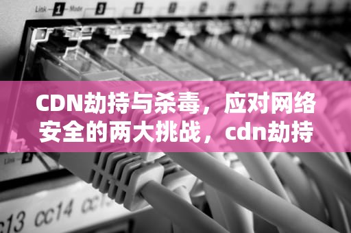 CDN劫持与杀毒，应对网络安全的两大挑战，cdn劫持怎么办