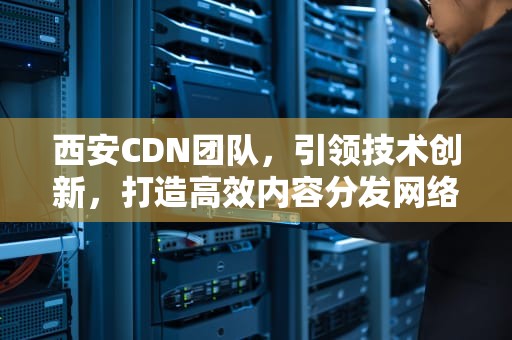 西安CDN团队，引领技术创新，打造高效内容分发网络，cdn公司
