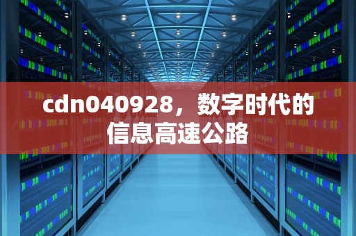 cdn040928，数字时代的信息高速公路