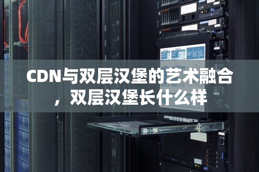 CDN与双层汉堡的艺术融合，双层汉堡长什么样
